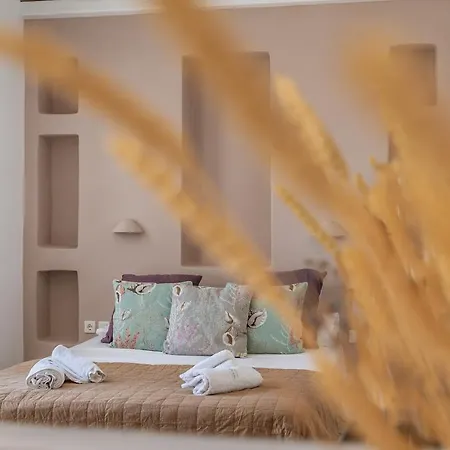 Apartahotel Ninemia Tinos Superior 101